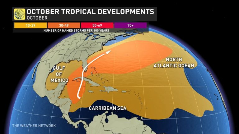 Nightmare Scenario Unfolding for Tampa Bay as Hurricane Milton Looms